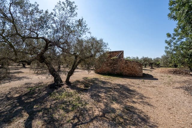 Finca/Casa di Campagna in vendita in Roquetes - 25.000 € (Rif: 9721092)