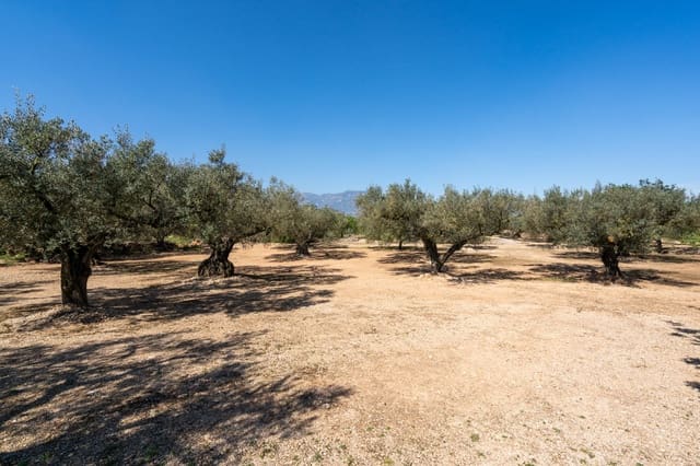 Finca/Casa di Campagna in vendita in Roquetes - 25.000 € (Rif: 9721092)