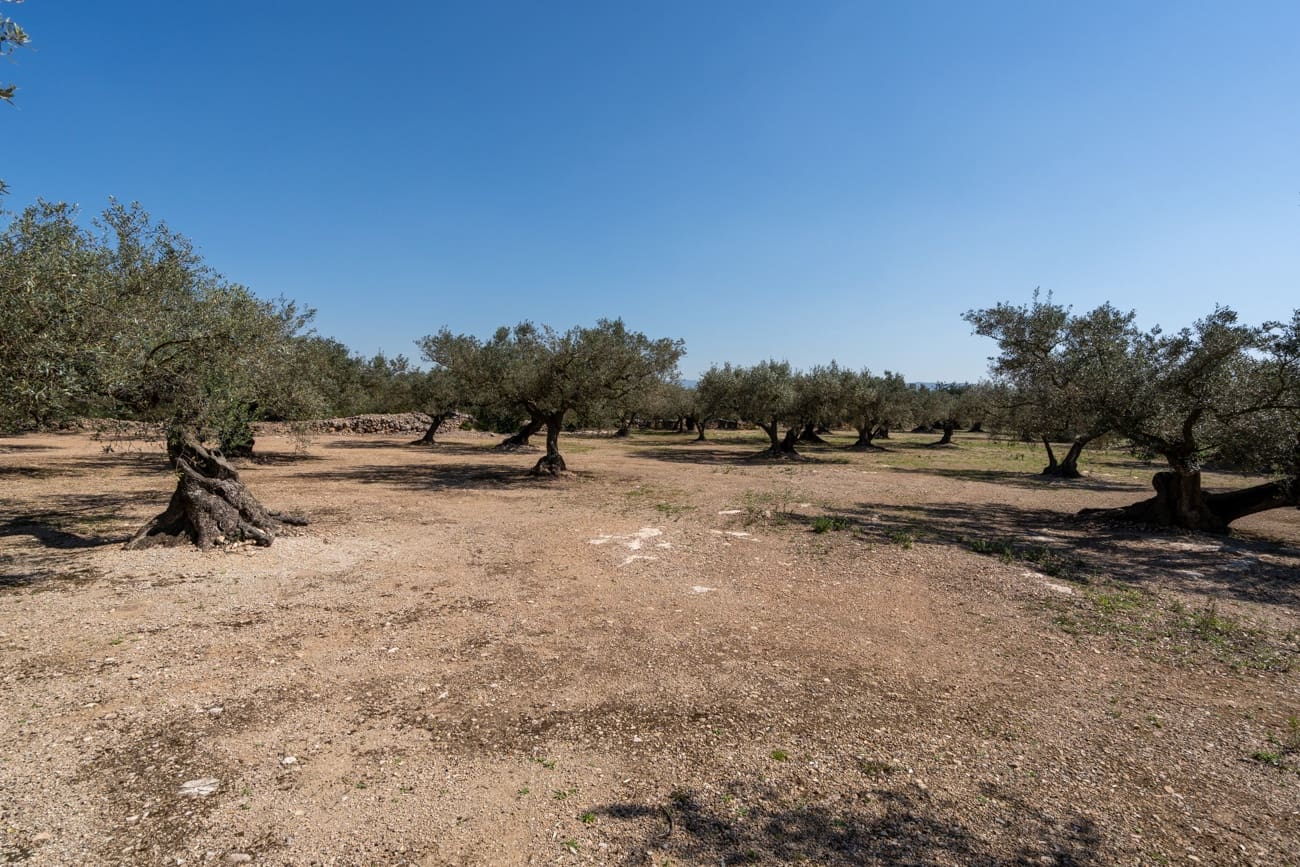 Finca/Maison de Campagne à vendre à Roquetes - 19 000 € (Ref: 9722207)