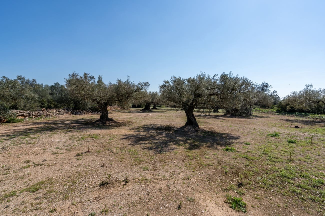Finca/Maison de Campagne à vendre à Roquetes - 19 000 € (Ref: 9722207)