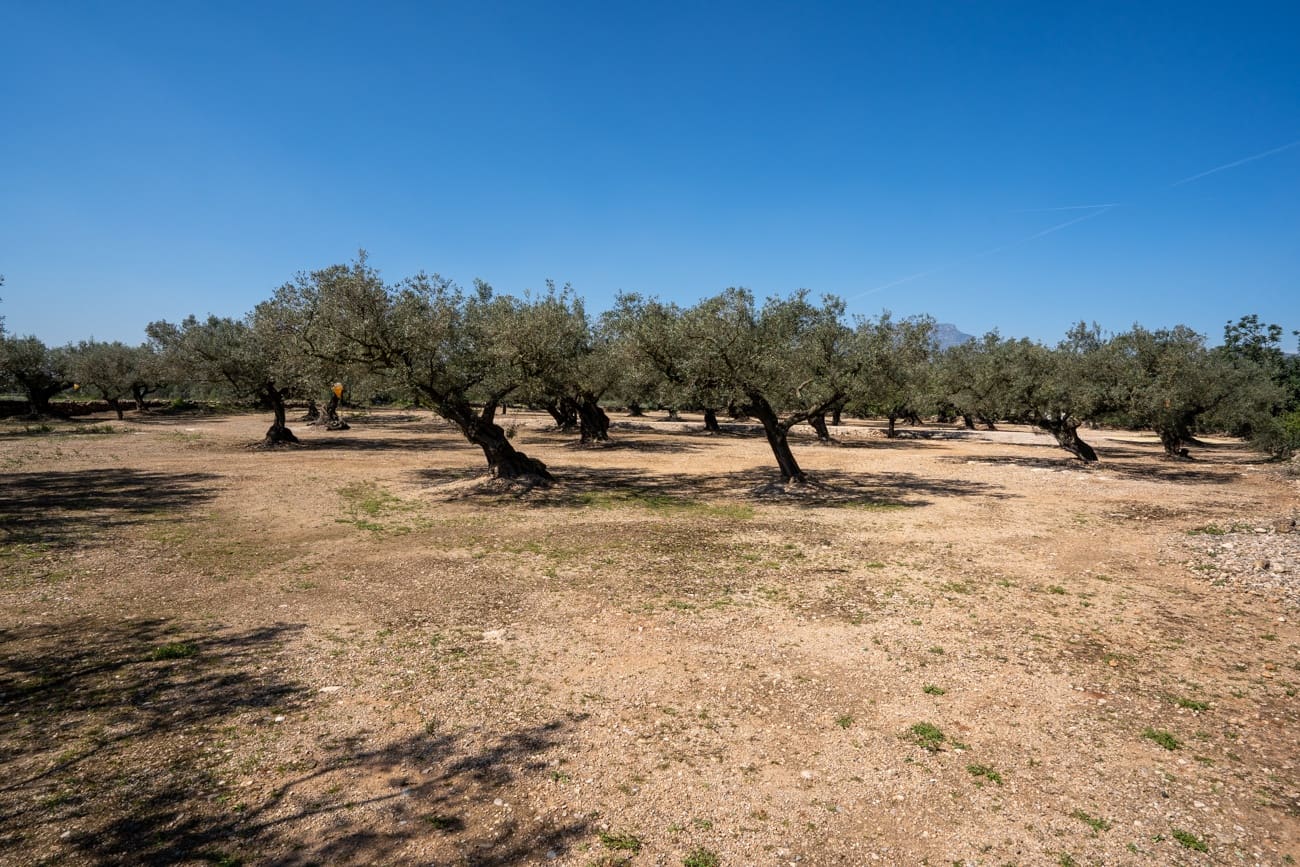 Finca/Maison de Campagne à vendre à Roquetes - 19 000 € (Ref: 9722207)