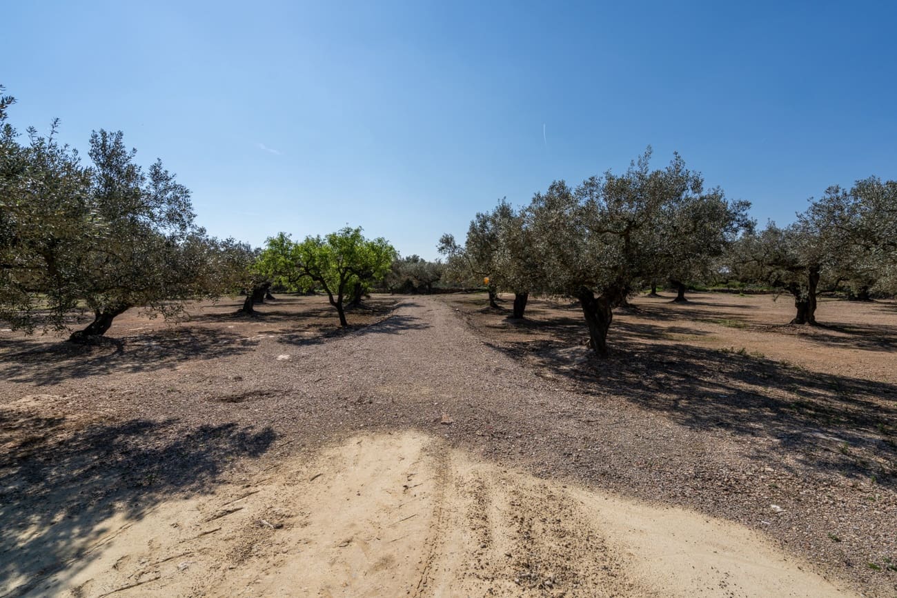 Finca/Maison de Campagne à vendre à Roquetes - 19 000 € (Ref: 9722207)