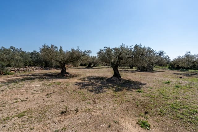 Finca/Maison de Campagne à vendre à Roquetes - 19 000 € (Ref: 9722207)