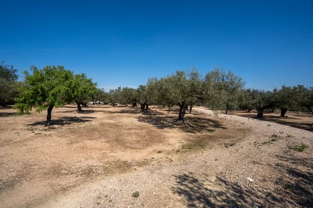 Finca/Maison de Campagne à vendre à Roquetes - 19 000 € (Ref: 9722207)