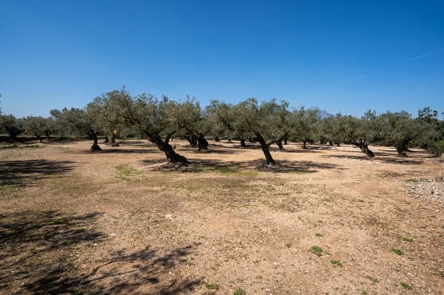 Finca/Maison de Campagne à vendre à Roquetes - 19 000 € (Ref: 9722207)
