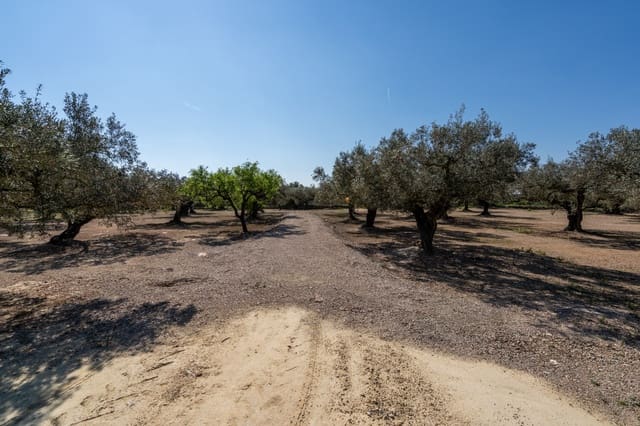 Finca/Maison de Campagne à vendre à Roquetes - 19 000 € (Ref: 9722207)