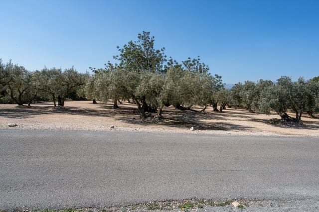 Finca/Maison de Campagne à vendre à Roquetes - 19 000 € (Ref: 9722207)