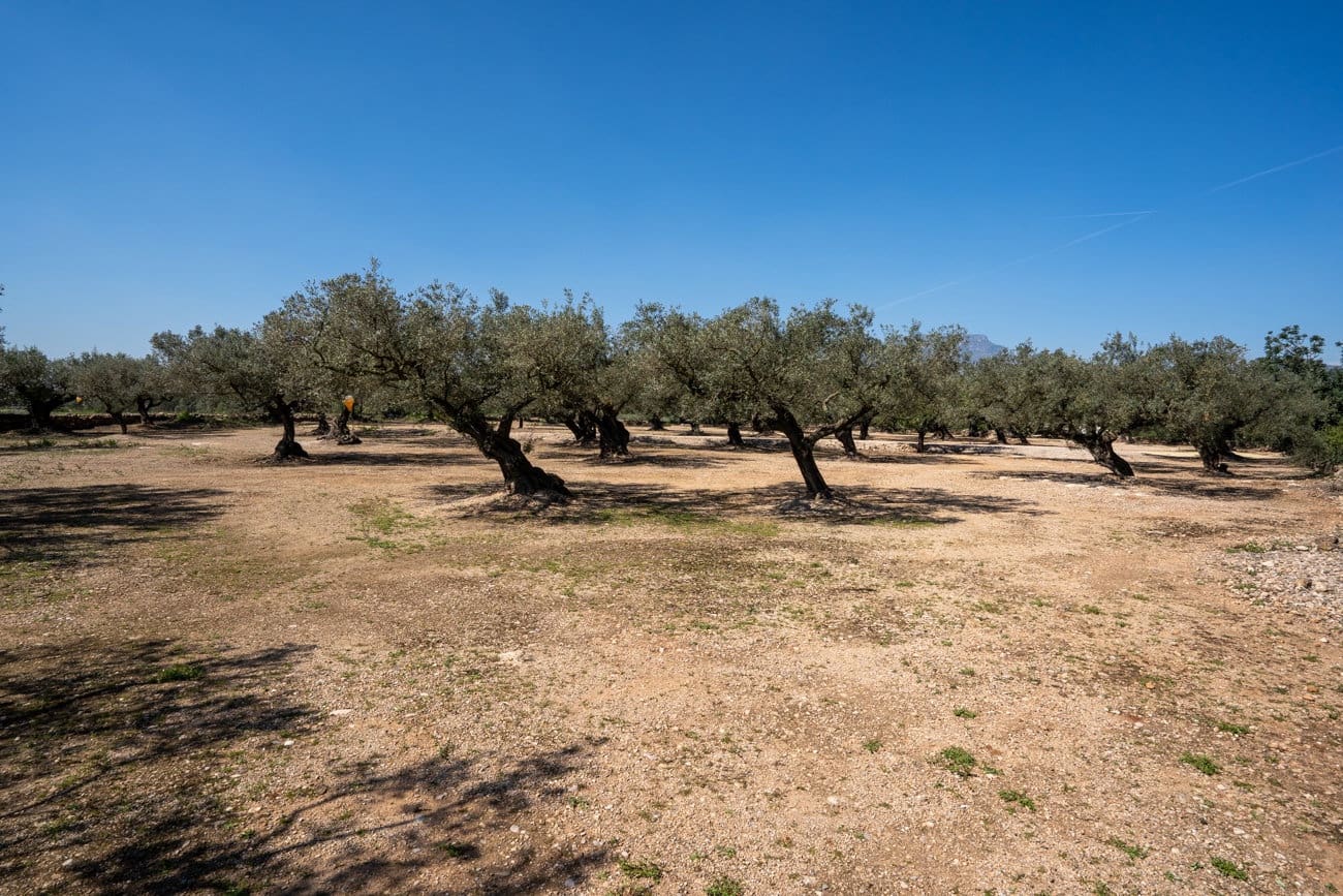 Finca/Country House for sale in Roquetes - € 19,000 (Ref: 9722207)