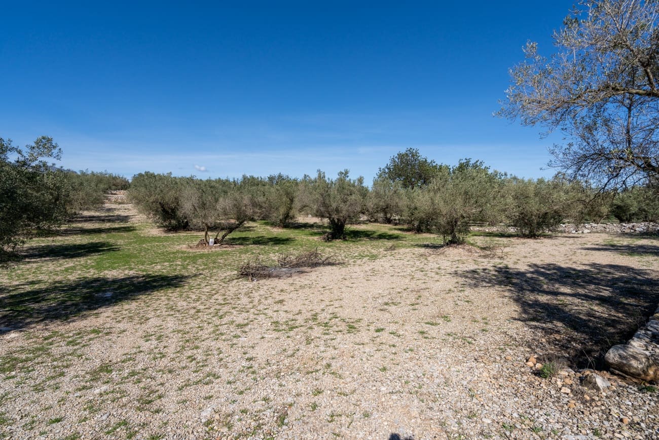 2 bedroom Finca/Country House for sale in Mas de Barberans - € 100,000 (Ref: 9727005)