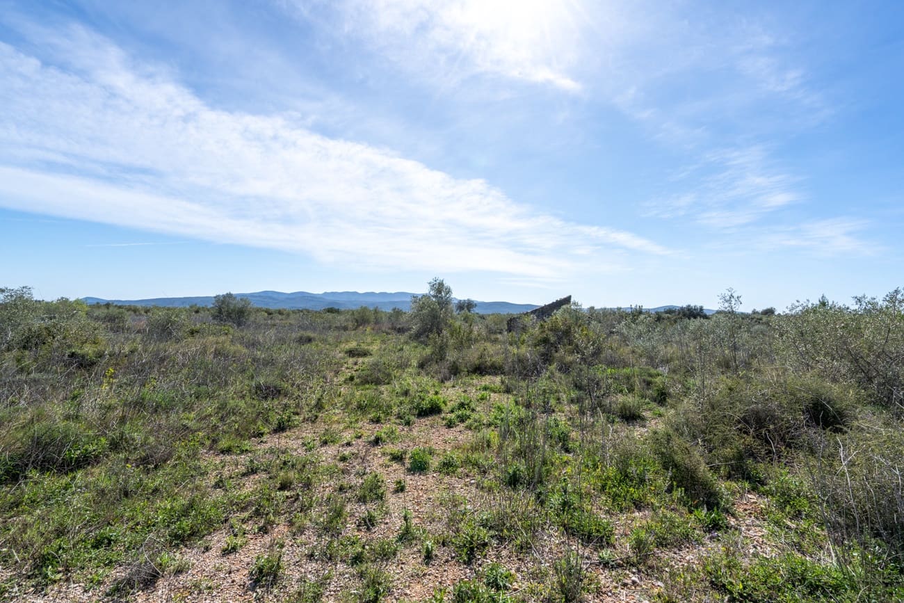 Finca/Landgut zu verkaufen in Ulldecona - 18.000 € (Ref: 9730950)