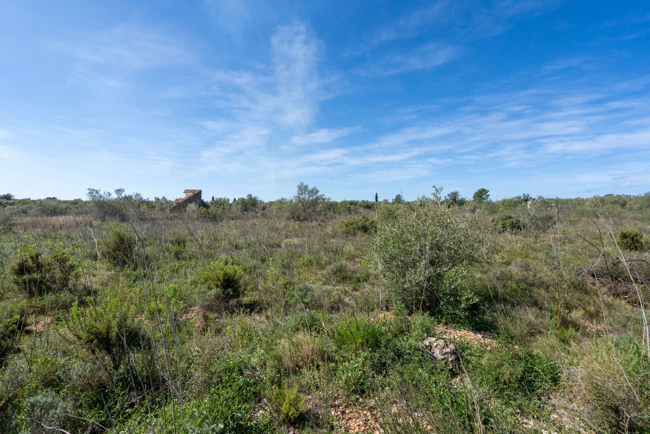 Finca/Landgut zu verkaufen in Ulldecona - 18.000 € (Ref: 9730950)