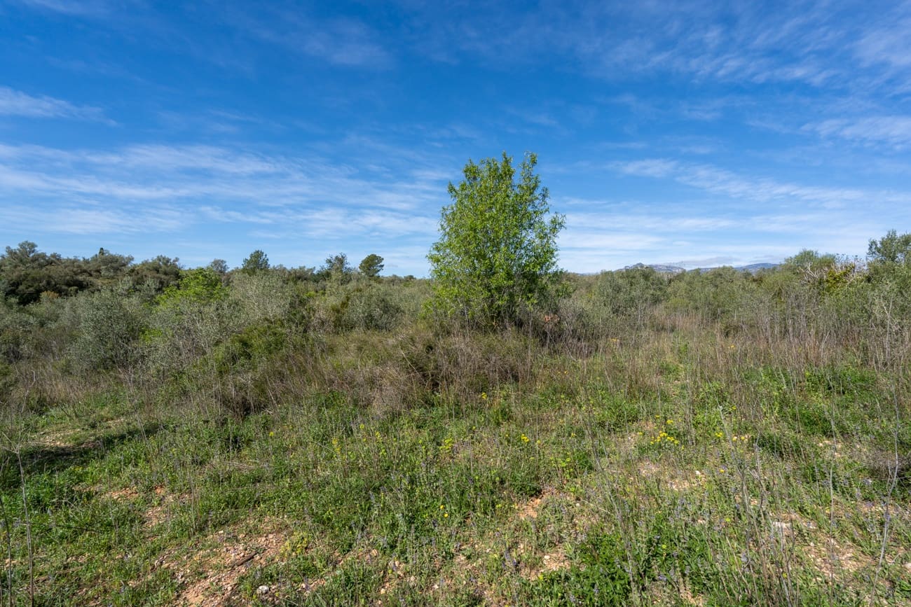 Finca/Landgut zu verkaufen in Ulldecona - 18.000 € (Ref: 9730950)