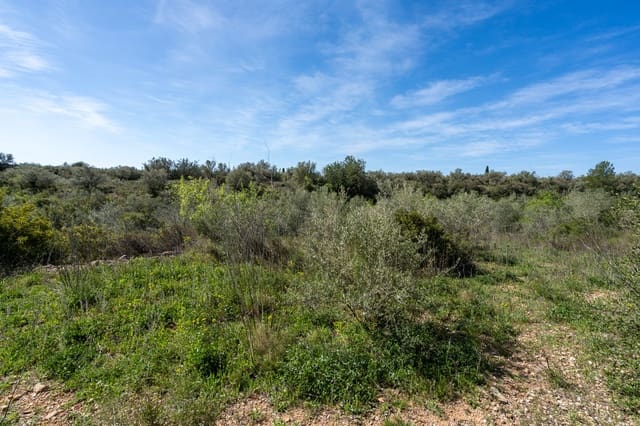 Quinta/Casa Rural para venda em Ulldecona - 18 000 € (Ref: 9730950)