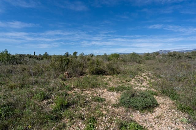 Quinta/Casa Rural para venda em Ulldecona - 18 000 € (Ref: 9730950)