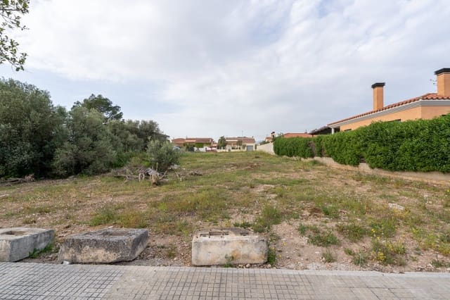 Landgrundstück zu verkaufen in Roquetes - 80.000 € (Ref: 9756246)