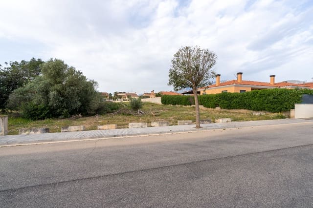 Landgrundstück zu verkaufen in Roquetes - 80.000 € (Ref: 9756246)