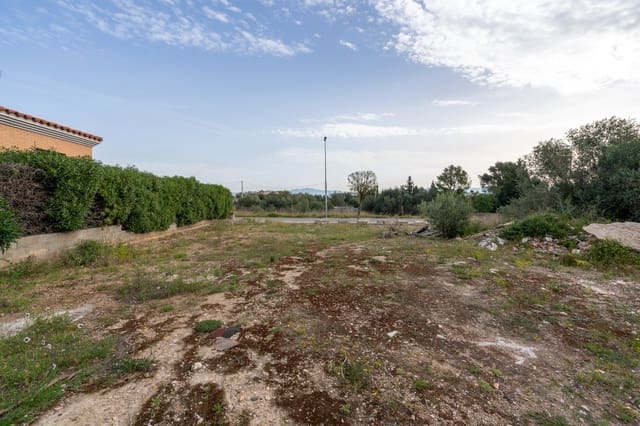 Landgrundstück zu verkaufen in Roquetes - 80.000 € (Ref: 9756246)