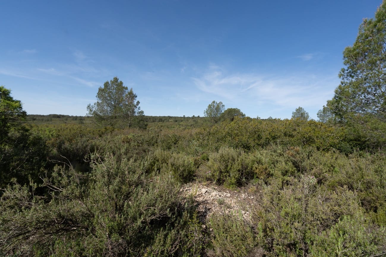 2 Zimmer Villa zu verkaufen in Enguera - 200.000 € (Ref: 9795091)