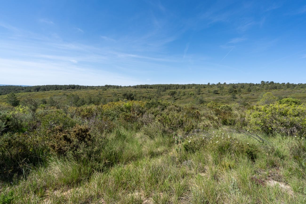 2 Zimmer Villa zu verkaufen in Enguera - 200.000 € (Ref: 9795091)