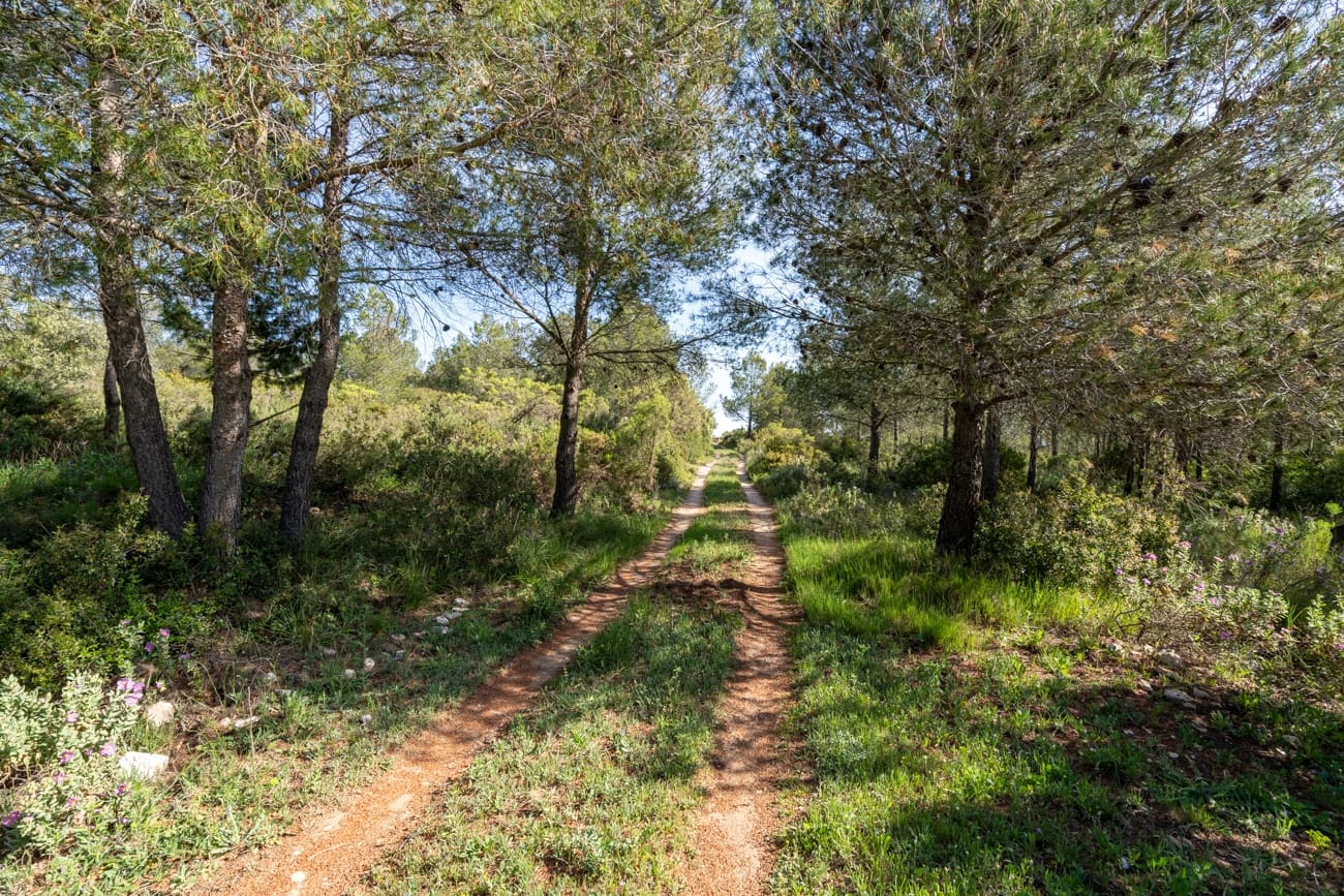 2 Zimmer Villa zu verkaufen in Enguera - 200.000 € (Ref: 9795091)