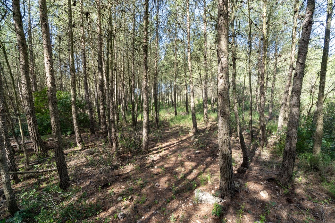 2 Zimmer Villa zu verkaufen in Enguera - 200.000 € (Ref: 9795091)