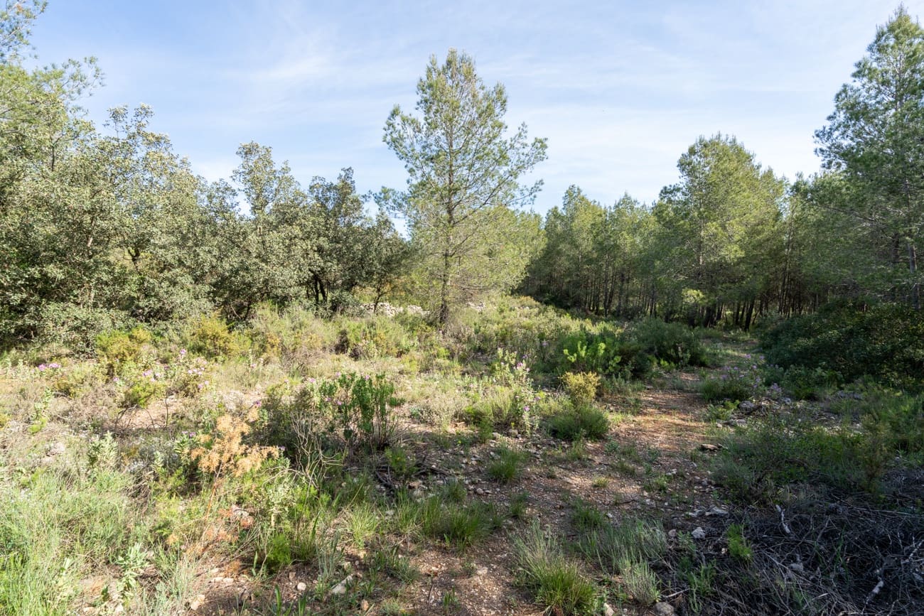 2 Zimmer Villa zu verkaufen in Enguera - 200.000 € (Ref: 9795091)