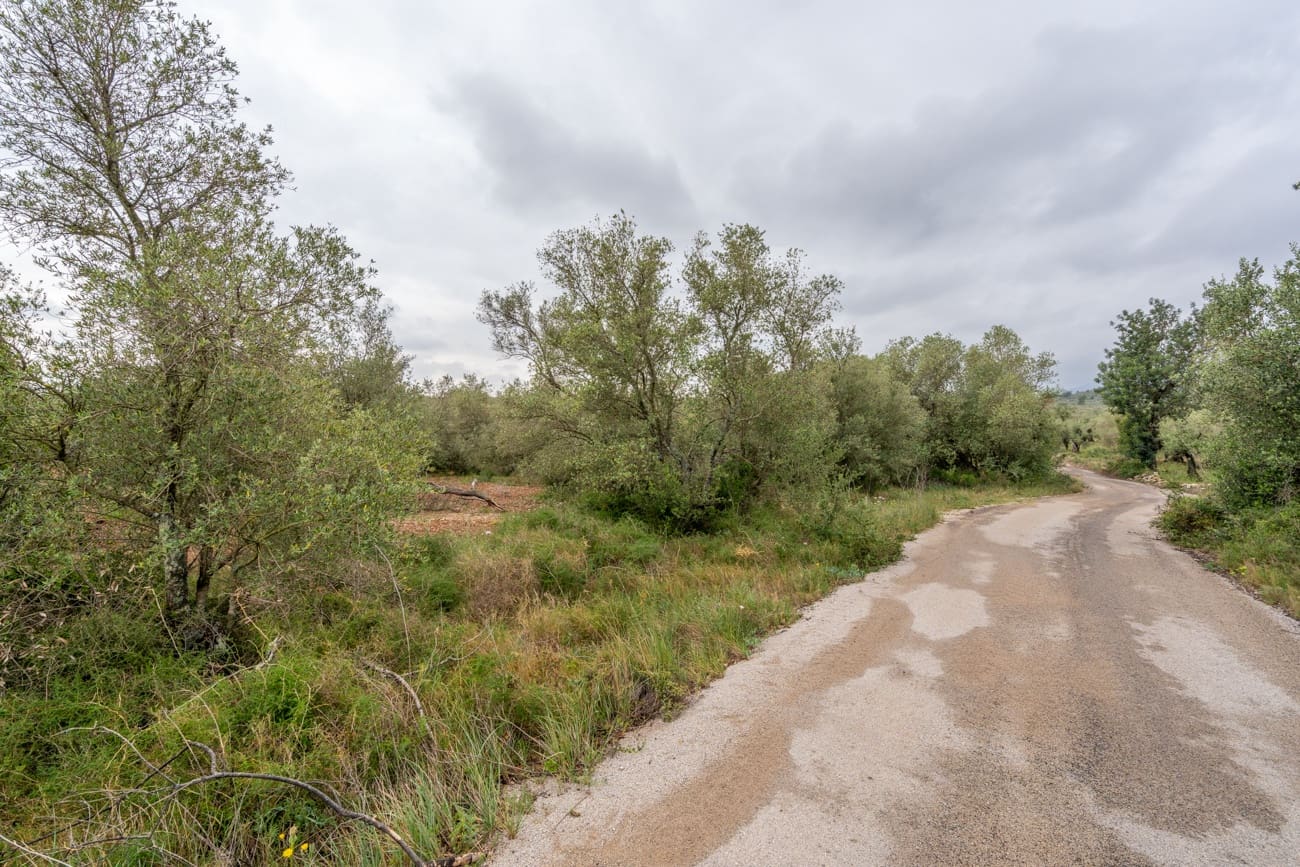 Finca/Hus på landet till salu i Mas de Barberans - 5 000 € (Ref: 9798489)