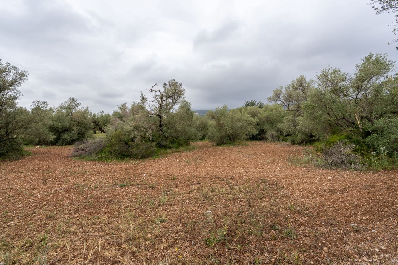 Finca/Hus på landet till salu i Mas de Barberans - 5 000 € (Ref: 9798489)