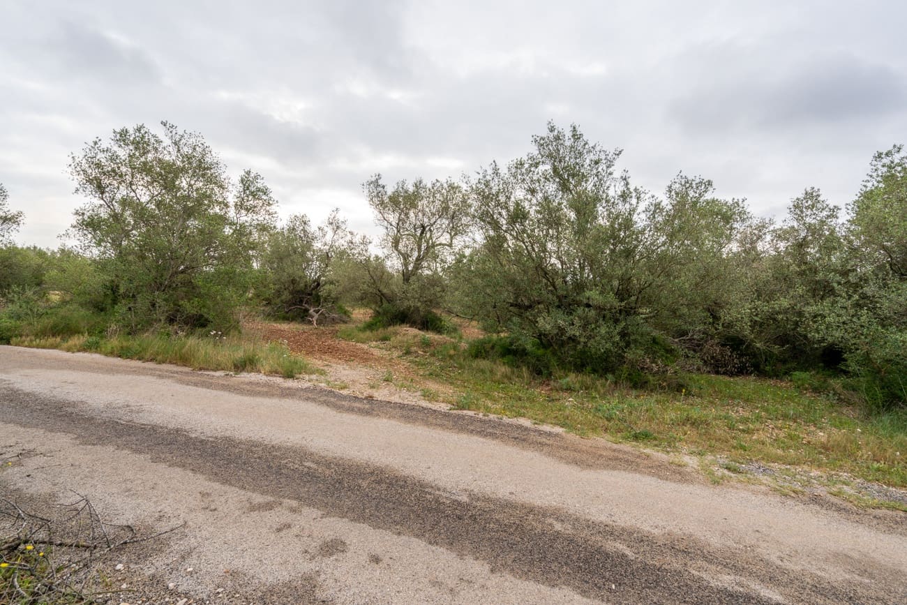 Finca/Hus på landet till salu i Mas de Barberans - 5 000 € (Ref: 9798489)