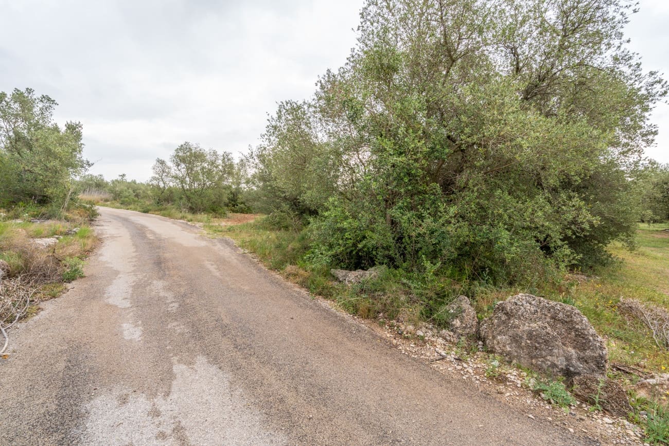 Finca/Hus på landet till salu i Mas de Barberans - 5 000 € (Ref: 9798489)