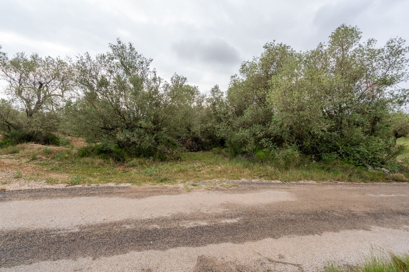 Finca/Hus på landet till salu i Mas de Barberans - 5 000 € (Ref: 9798489)