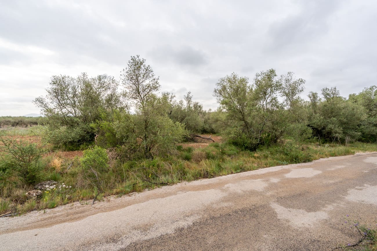 Finca/Hus på landet till salu i Mas de Barberans - 5 000 € (Ref: 9798489)