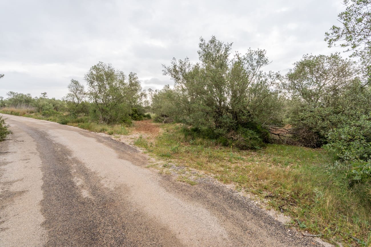 Finca/Hus på landet till salu i Mas de Barberans - 5 000 € (Ref: 9798489)