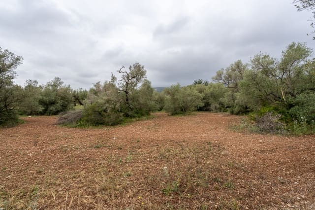 Finca/Hus på landet till salu i Mas de Barberans - 5 000 € (Ref: 9798489)