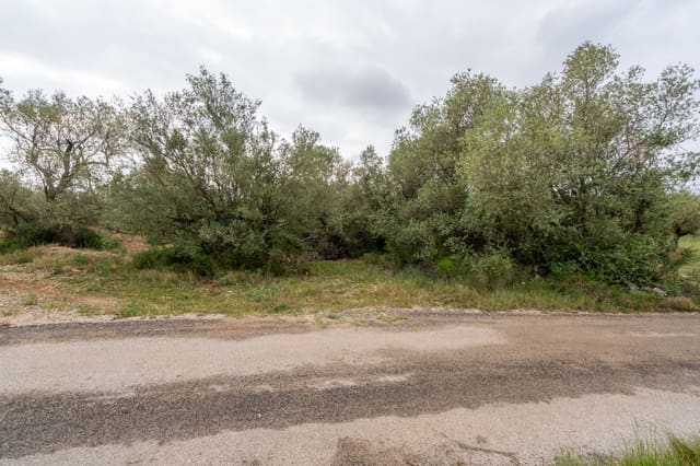 Finca/Hus på landet till salu i Mas de Barberans - 5 000 € (Ref: 9798489)