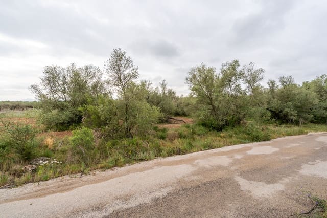 Finca/Hus på landet till salu i Mas de Barberans - 5 000 € (Ref: 9798489)