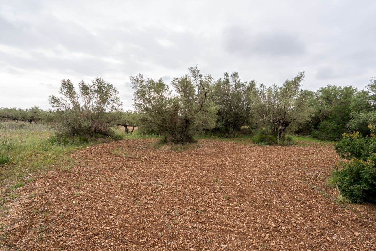 Finca/Hus på landet till salu i Mas de Barberans - 5 000 € (Ref: 9798489)