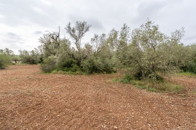 Finca/Hus på landet till salu i Mas de Barberans - 5 000 € (Ref: 9798489)