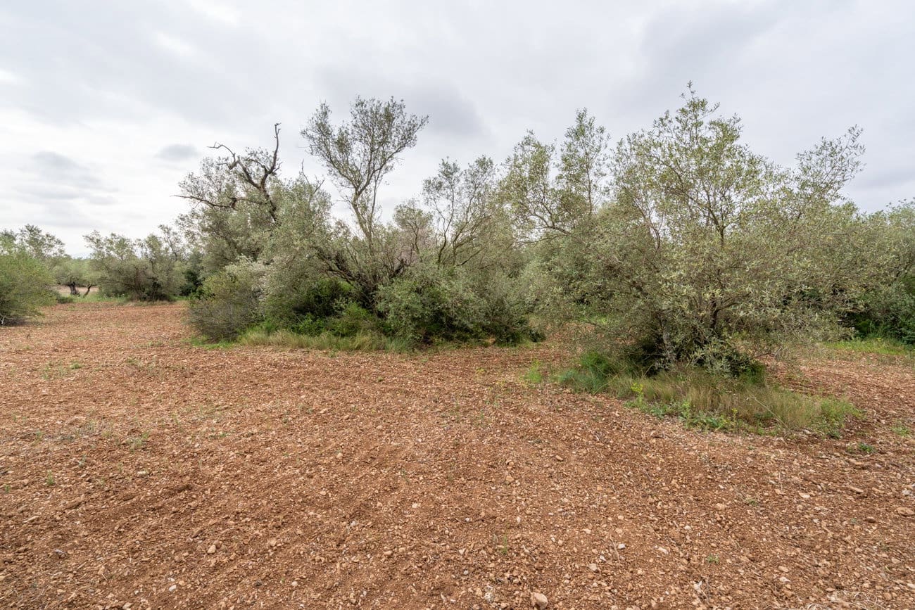 Finca/Herregård til salgs i Mas de Barberans - € 5 000 (Ref: 9798489)