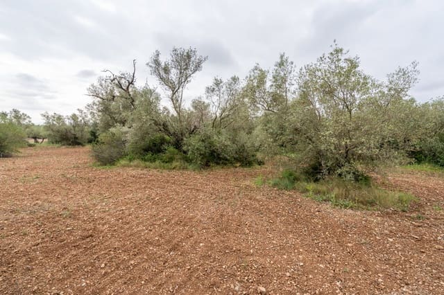 Finca/Casa Rural en Mas de Barberans en venta - 5.000 € (Ref: 9798489)