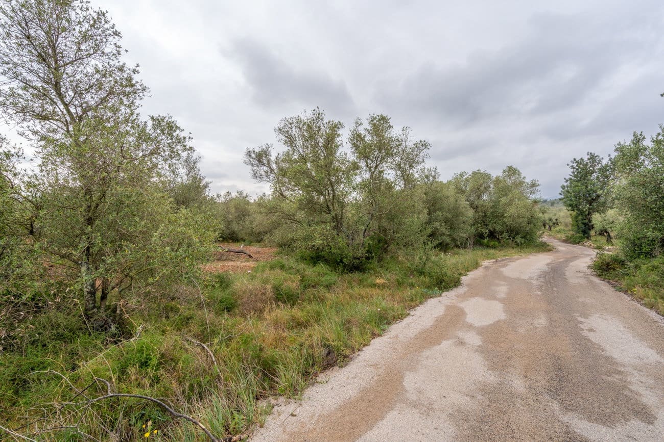 Finca/Herregård til salgs i Mas de Barberans - € 5 000 (Ref: 9798489)
