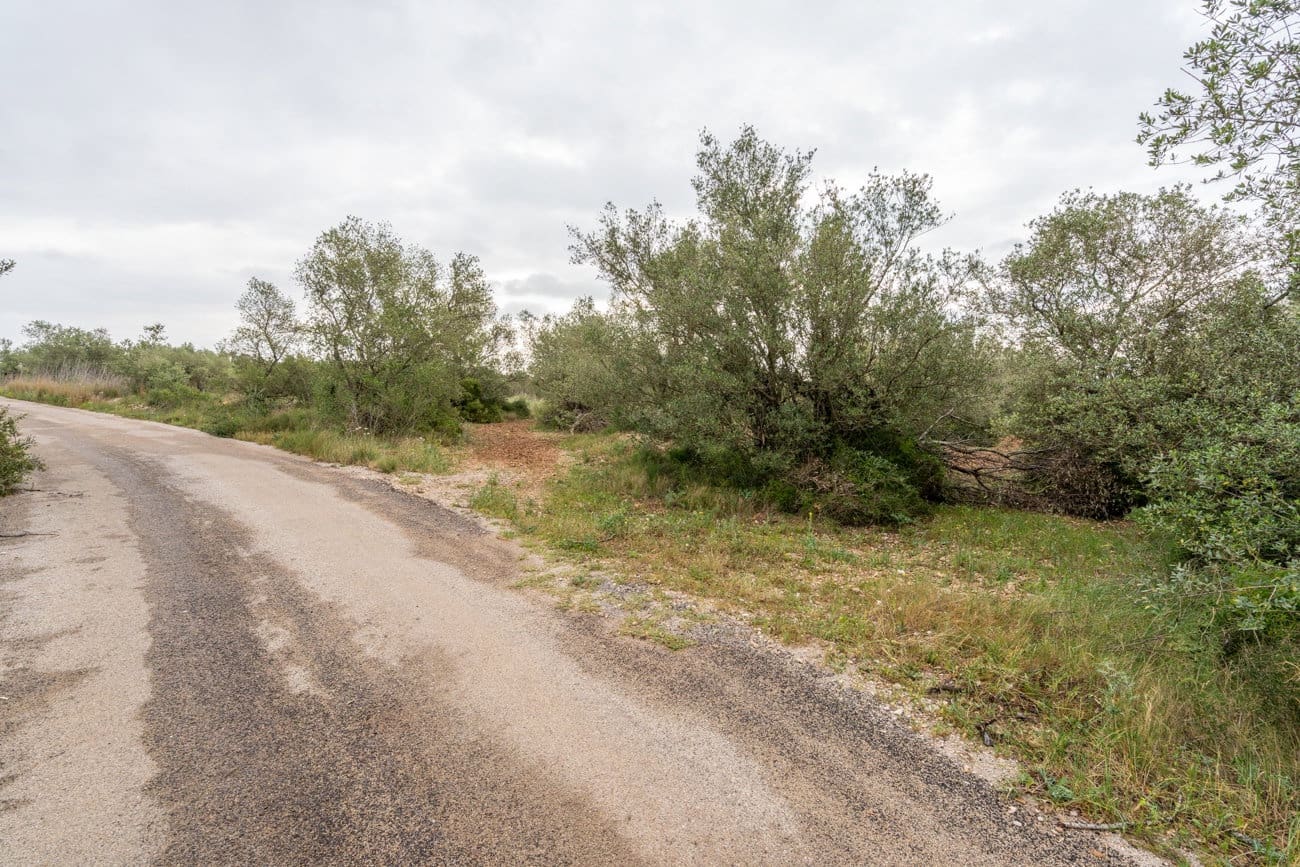 Finca/Herregård til salgs i Mas de Barberans - € 5 000 (Ref: 9798489)