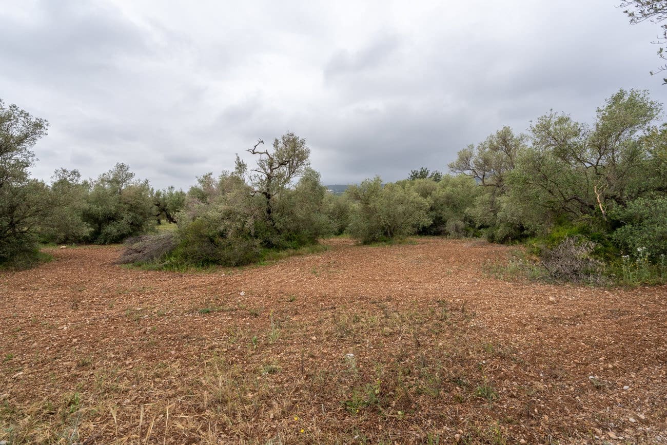 Finca/Herregård til salgs i Mas de Barberans - € 5 000 (Ref: 9798489)