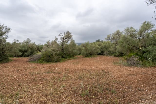 Finca/Casa Rural en Mas de Barberans en venta - 5.000 € (Ref: 9798489)