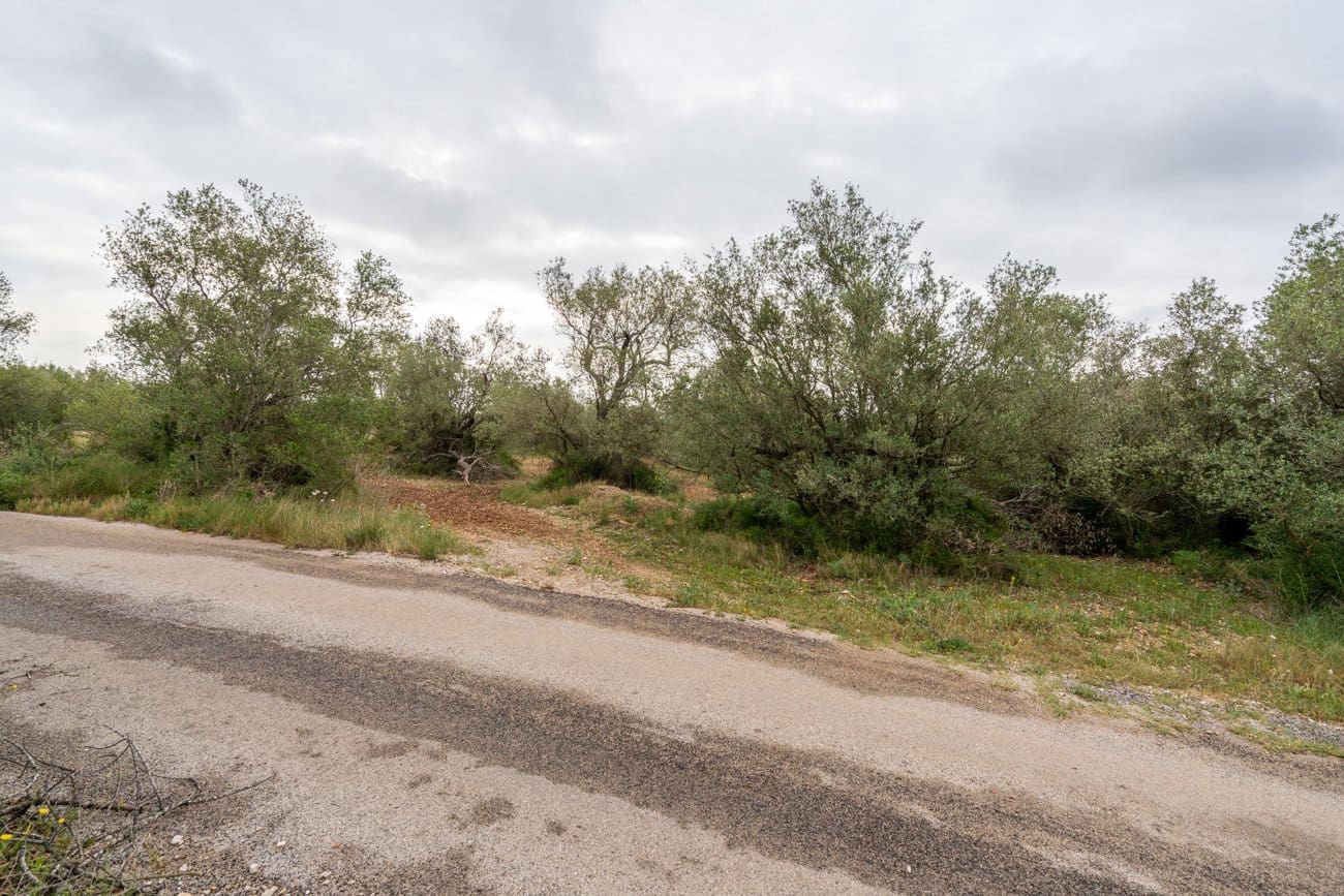 Finca/Herregård til salgs i Mas de Barberans - € 5 000 (Ref: 9798489)