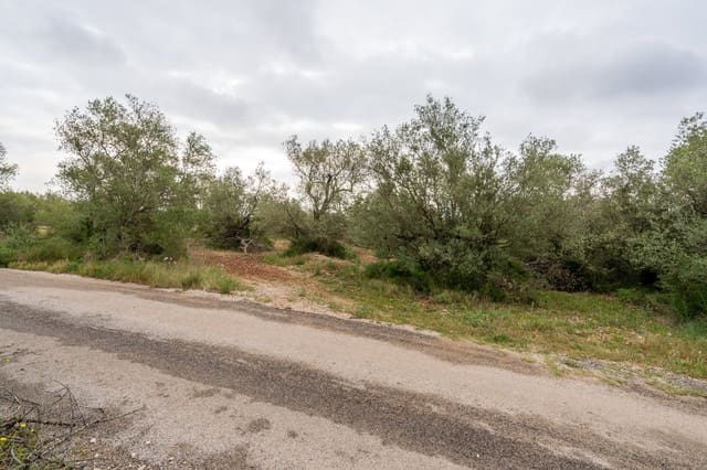 Finca/Casa Rural en Mas de Barberans en venta - 5.000 € (Ref: 9798489)