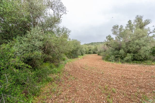 Finca/Casa Rural en Mas de Barberans en venta - 5.000 € (Ref: 9798489)