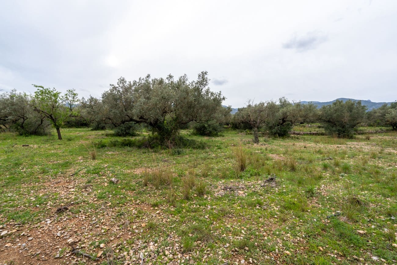 Finca/Casa di Campagna in vendita in Roquetes - 20.000 € (Rif: 9798490)