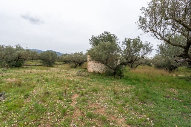 Finca/Casa di Campagna in vendita in Roquetes - 20.000 € (Rif: 9798490)