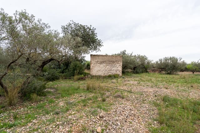 Finca/Casa di Campagna in vendita in Roquetes - 20.000 € (Rif: 9798490)